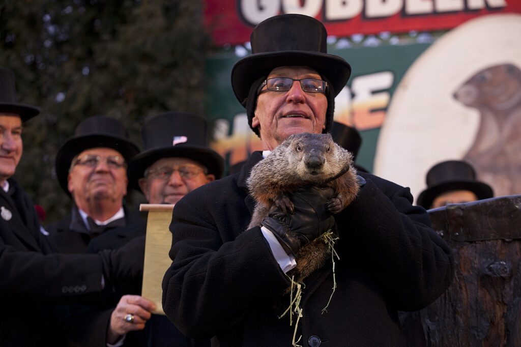 Groundhog Day, Punxsutawney, 2013-2