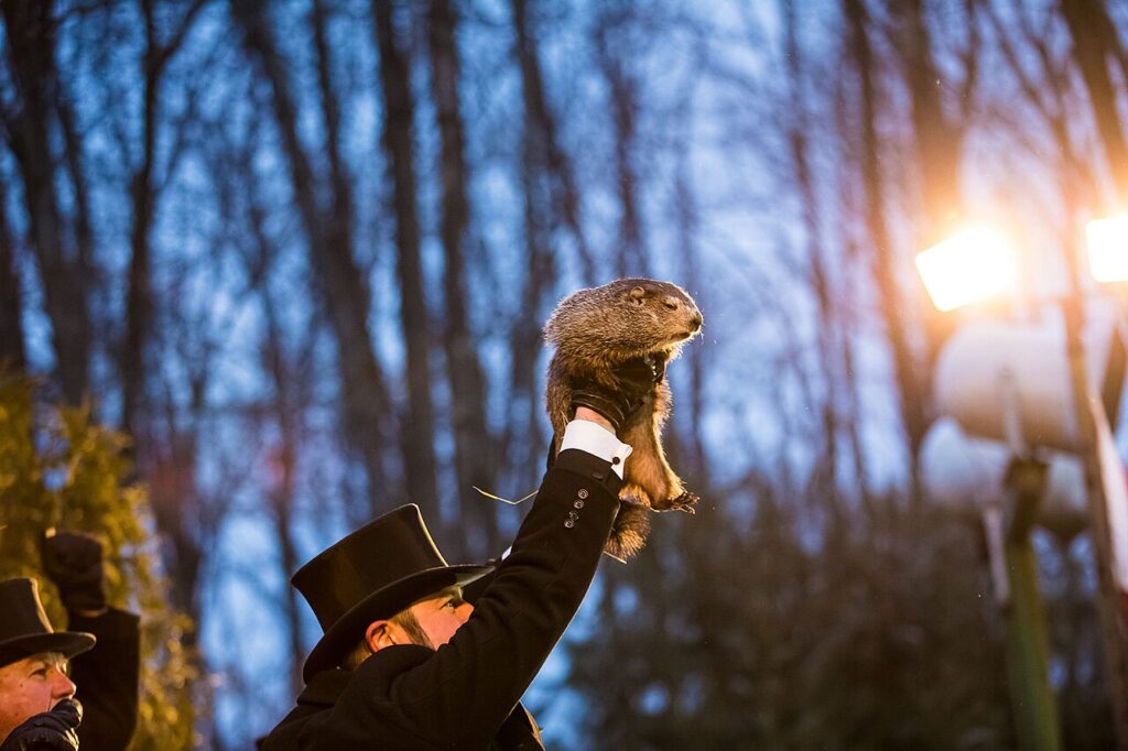 Punxsutawney Phil 2018