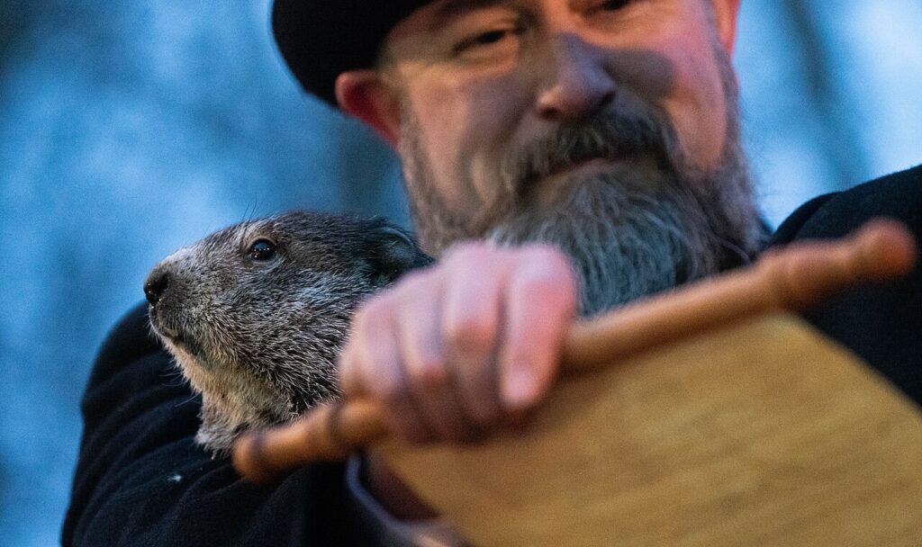 Punxsutawney Phil Groundhog Day 2022 Pennsylvania (51858868335)