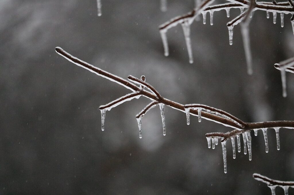 Winter Storm Landon - 51860841657