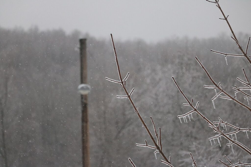 Winter Storm Landon - 51862137589