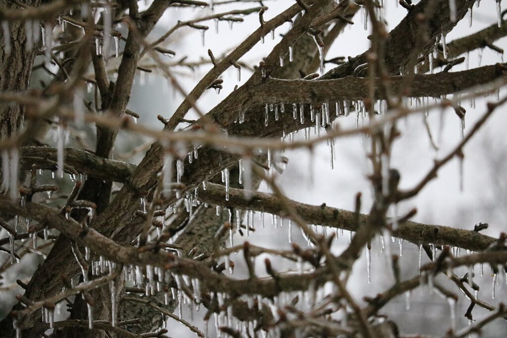 Winter Storm Landon - 51862453835