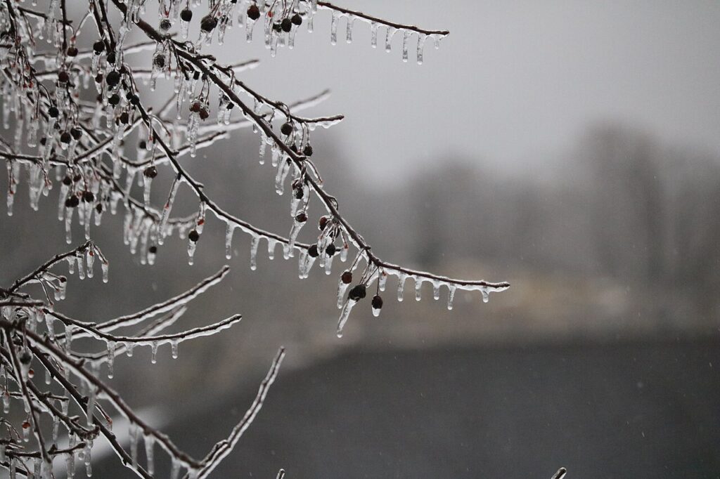 Winter Storm Landon - 51862459155