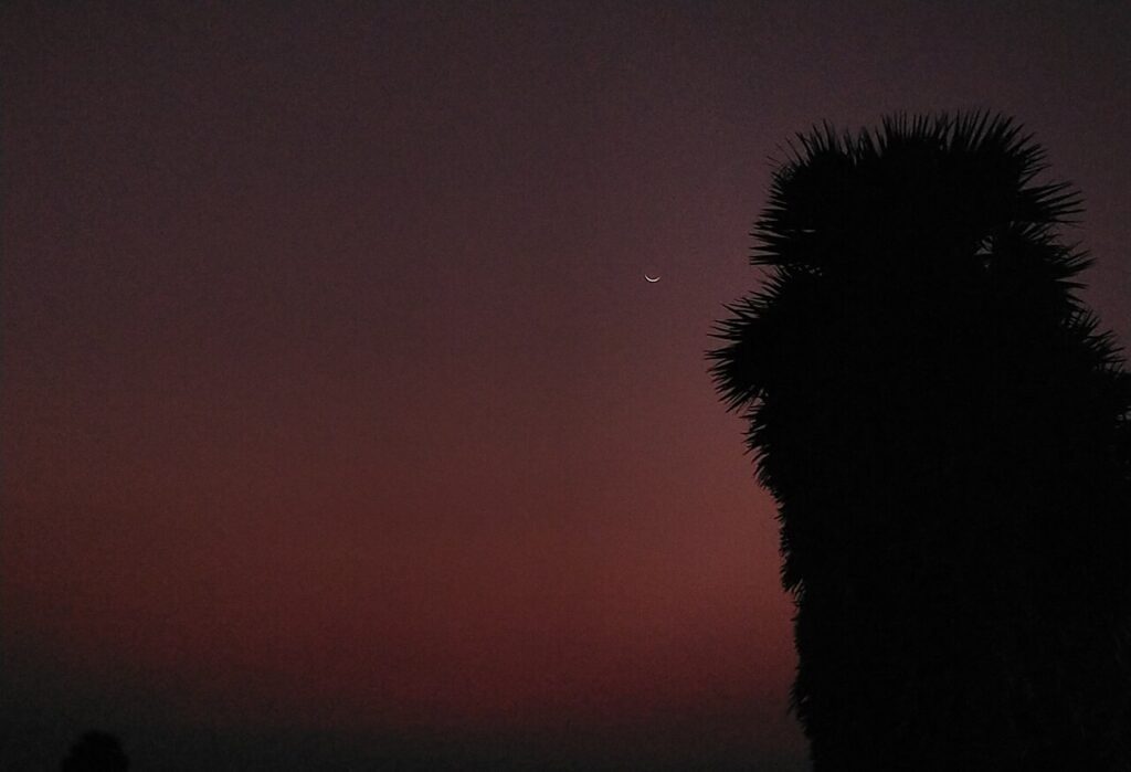 Crescent moon (pirai nila)