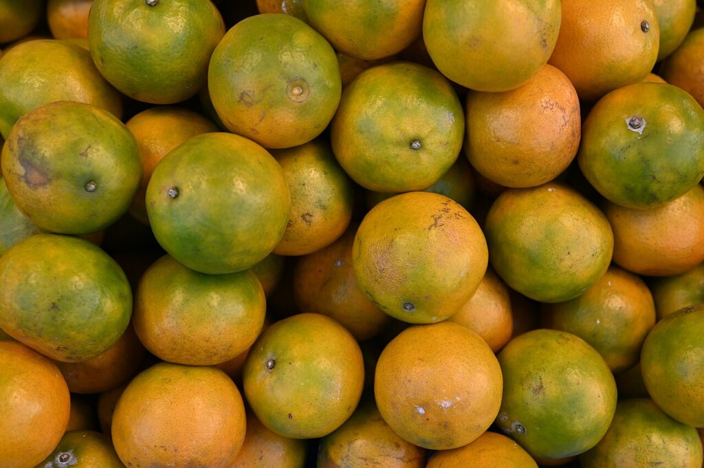 Mandarin oranges to close the reunion dinner