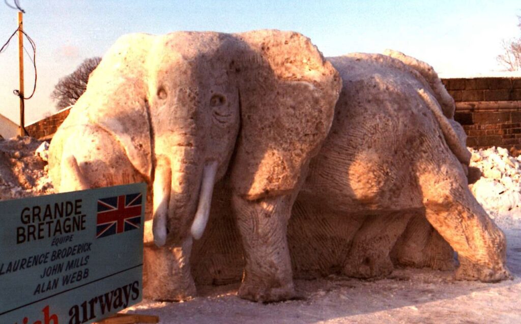 Elephants Quebec