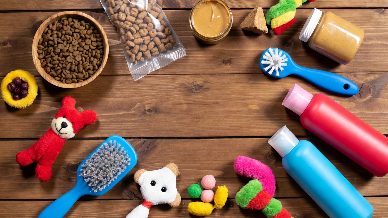 Love Your Pet Day on a Budget: Free Ways to Show You Care