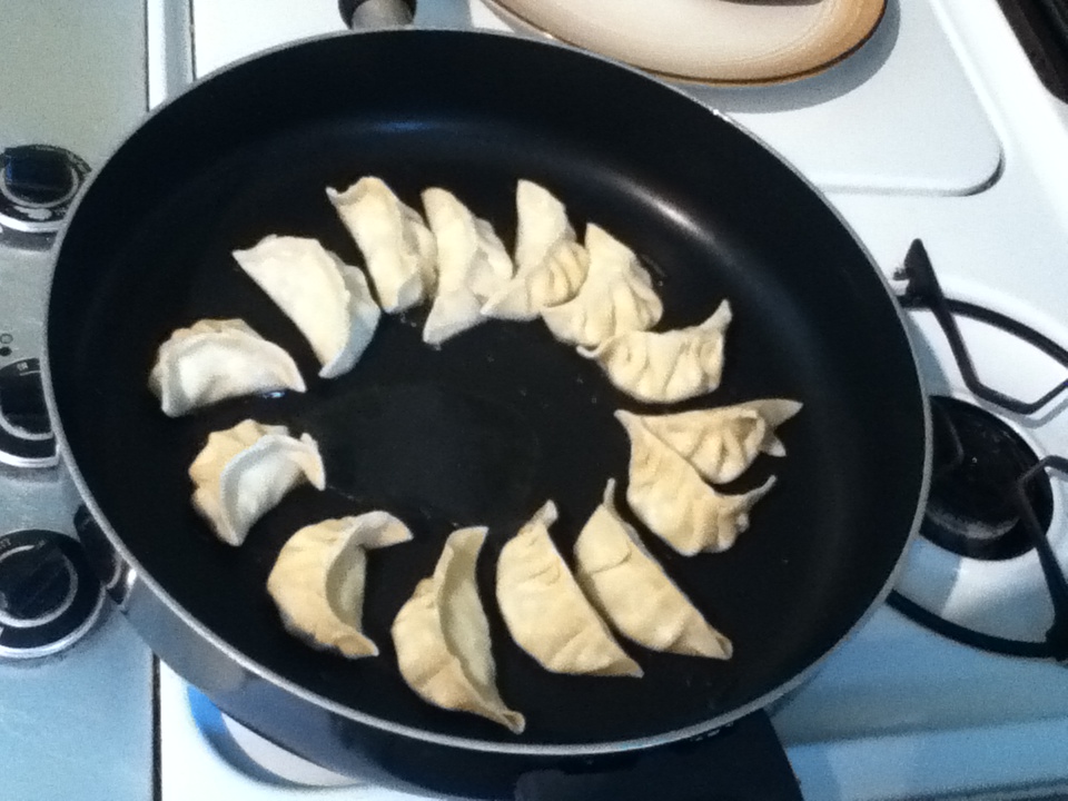 Pan-frying dumplings to make potstickers