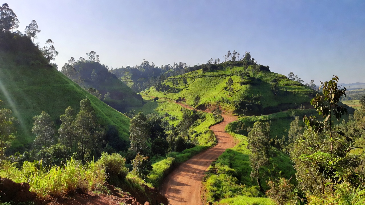 Rwanda February Travel Guide: Experiencing Resilience on National Heroes’ Day