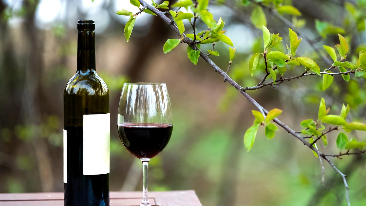 Decoding the Tu Bishvat Seder: The Mystical Meaning Behind the 4 Cups of Wine