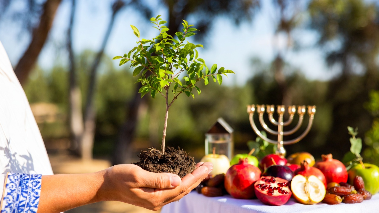Tu Bishvat as Jewish Earth Day: Sustainable Habits and Environmental Tikkun Olam