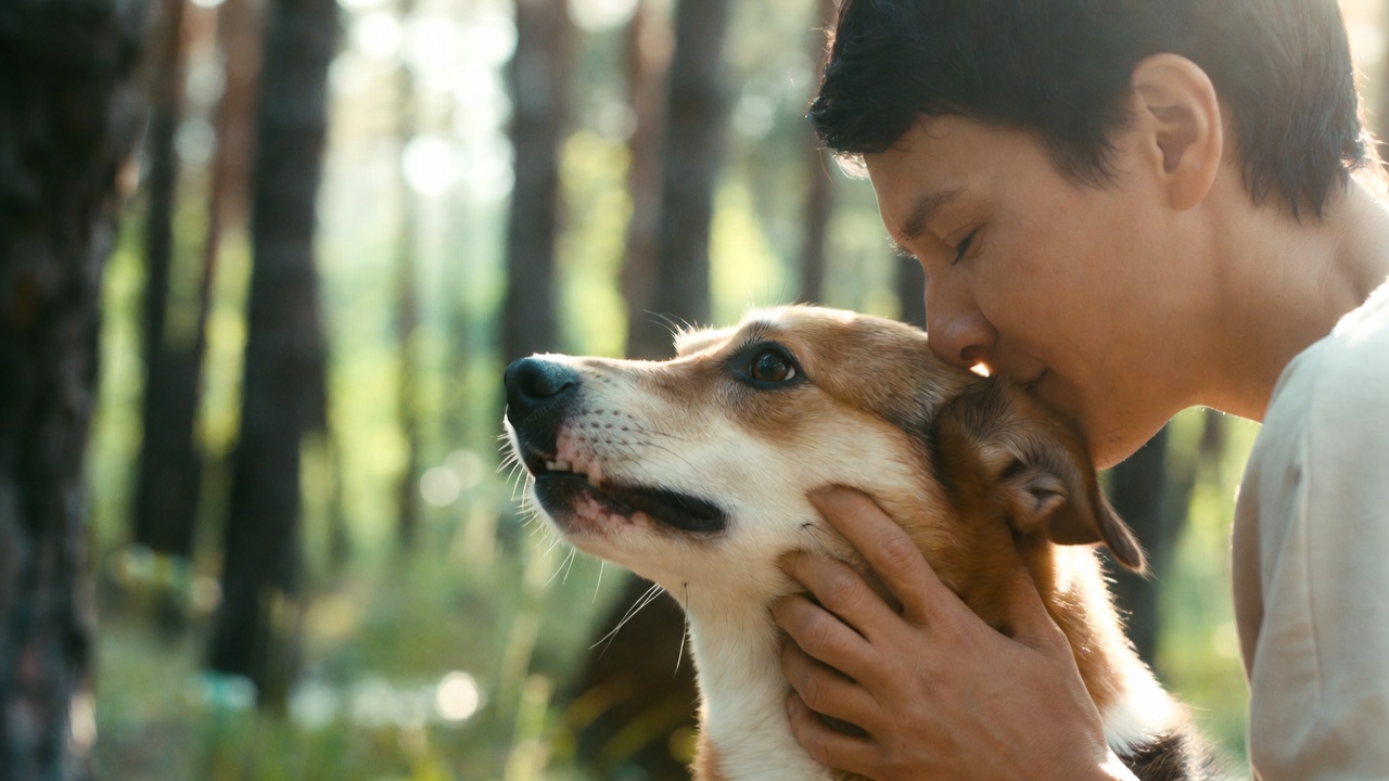 Share the Love: Why Love Your Pet Day is the Perfect Time to Adopt or Foster