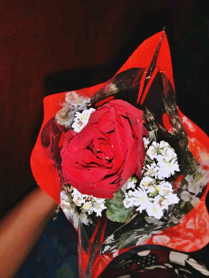 Red roses for a romantic evening of music