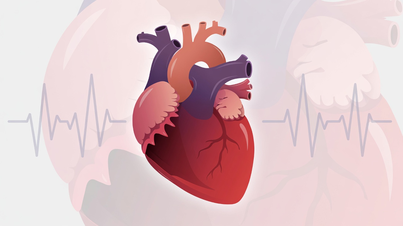 World Congenital Heart Disease Awareness Day