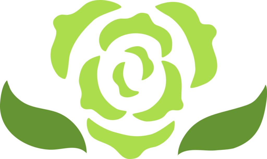 Carnation Flower - Achillean