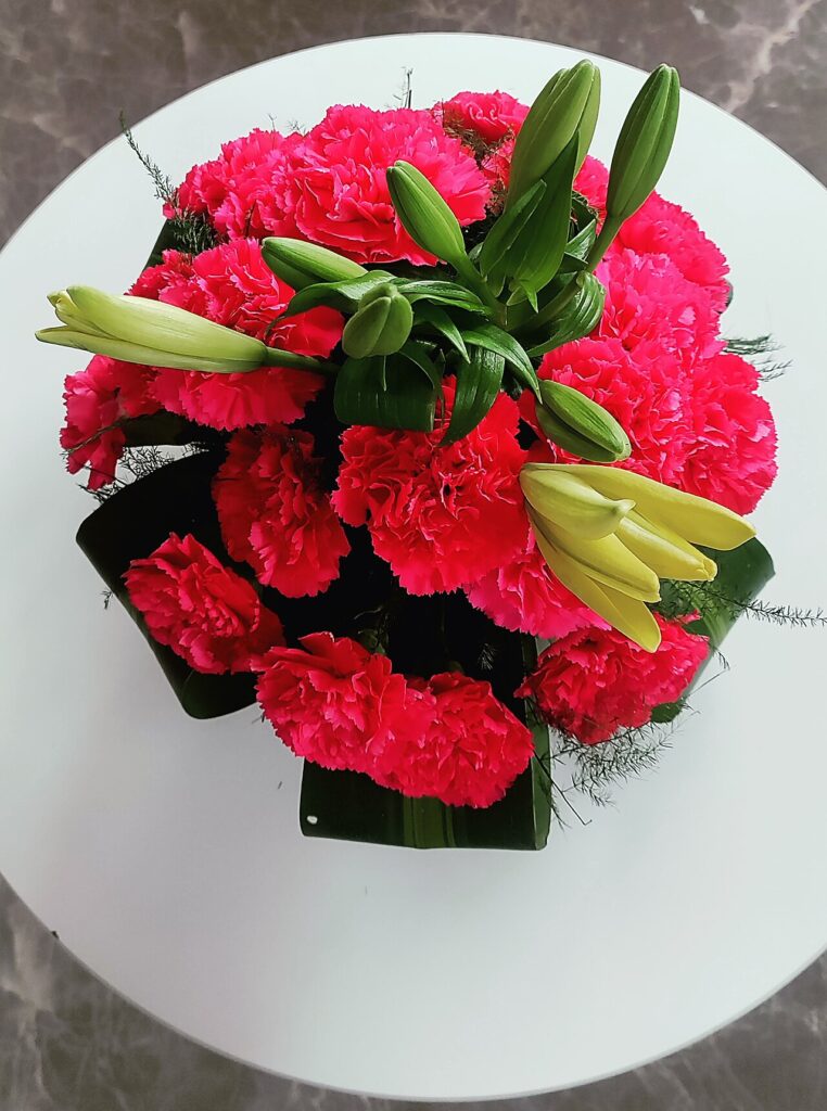 Red Carnations flower