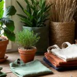 Top Eco-Friendly & Sustainable Mother's Day Gifts