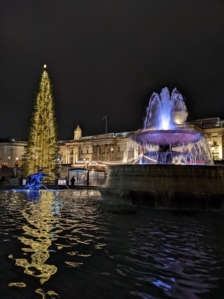 The Trafalgar Square Christmas tree