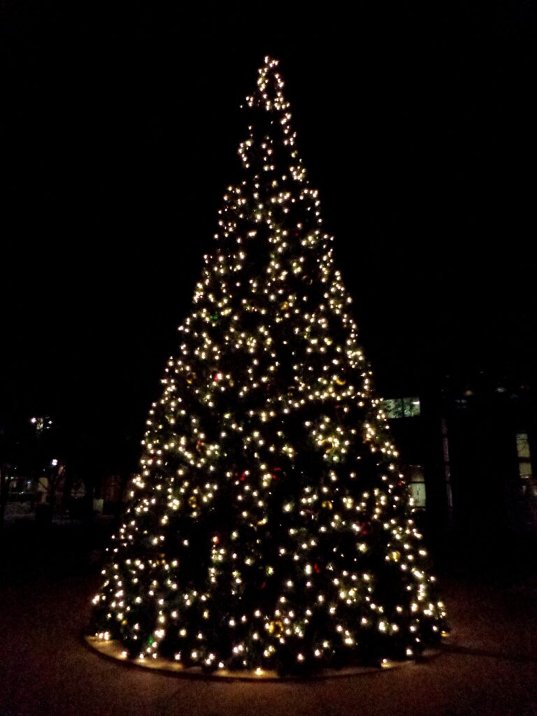 A Christmas tree lit at night
